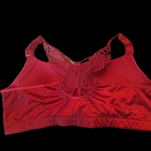 Lovely Front Closure Deep Plunge Bra NWOT - Picture 2 of 5